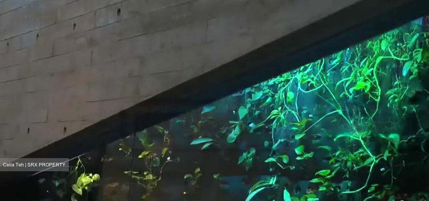 Cove Way (D4), Detached #457026171